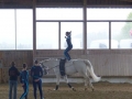 P1040419.JPG