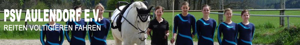 Reiten Voltigieren Fahren