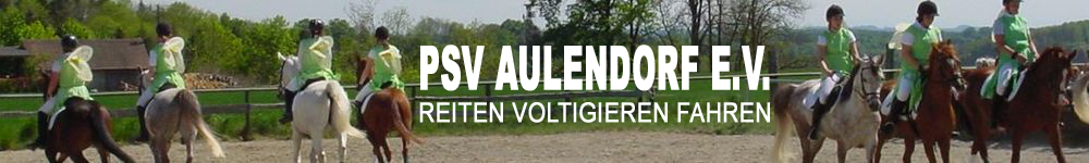 Reiten Voltigieren Fahren