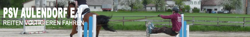 Reiten Voltigieren Fahren